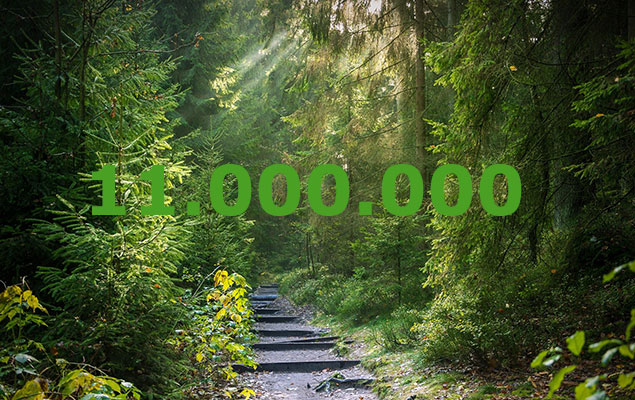 11.000.000