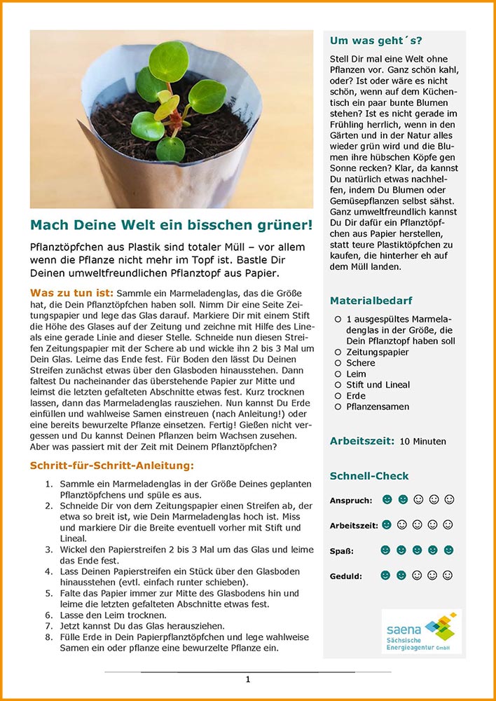 Bild der PDF von Forscherauftrag "Blumentopf aus Papier"