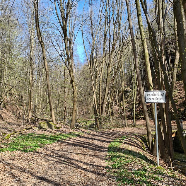 Waldweg im Nedarschützer Tal
