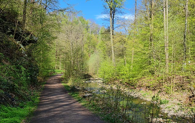 Rabenauer Grund: Wanderweg