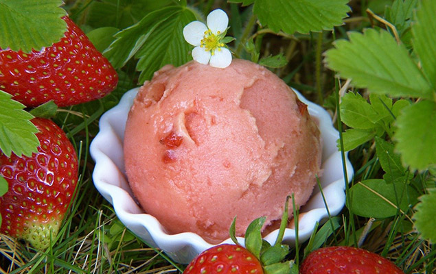 Erdbeereis mit Erdbeeren