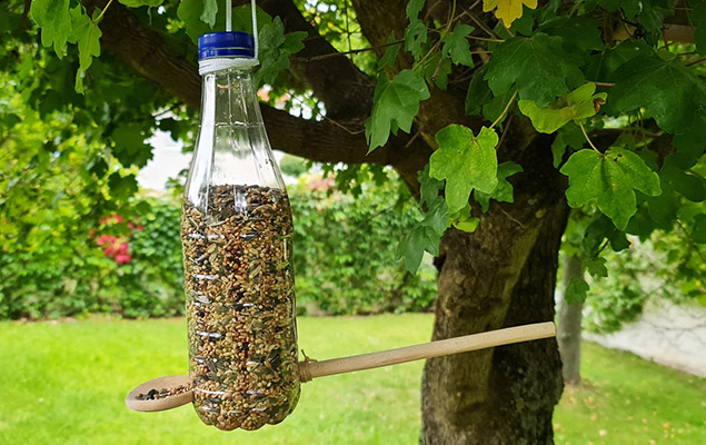 Vogelfutterstation aus PET-Flasche