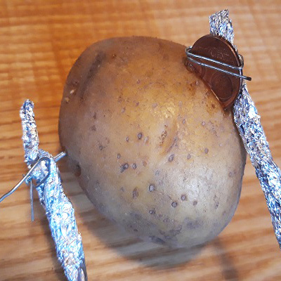 Experimentieranleitung Kartoffelbatterie