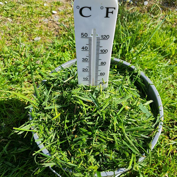Thermometer im Rasen