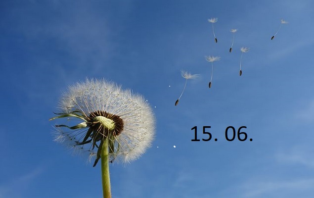 Pusteblume und Datum vom Tag des Windes: 15.06.