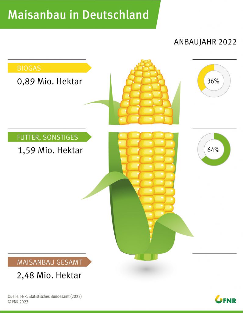 Diagramm der FNR: Maisanbau in Deutschland