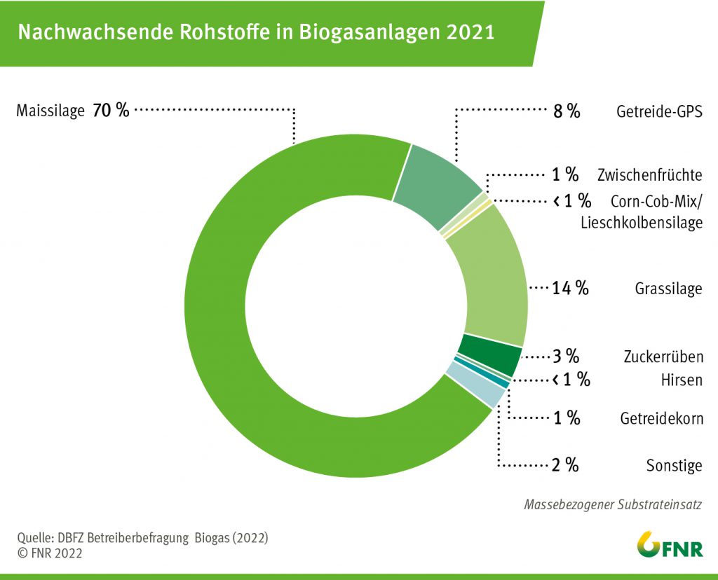 Diagramm der FNR: Nachwachsende Rohstoffe in Biogasanlagen 2021